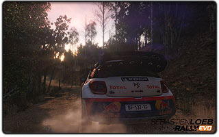 Sebastien Loeb Evo Rally