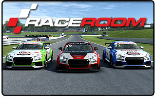 RaceRoom 2016 Audi Sport TT Cup Season